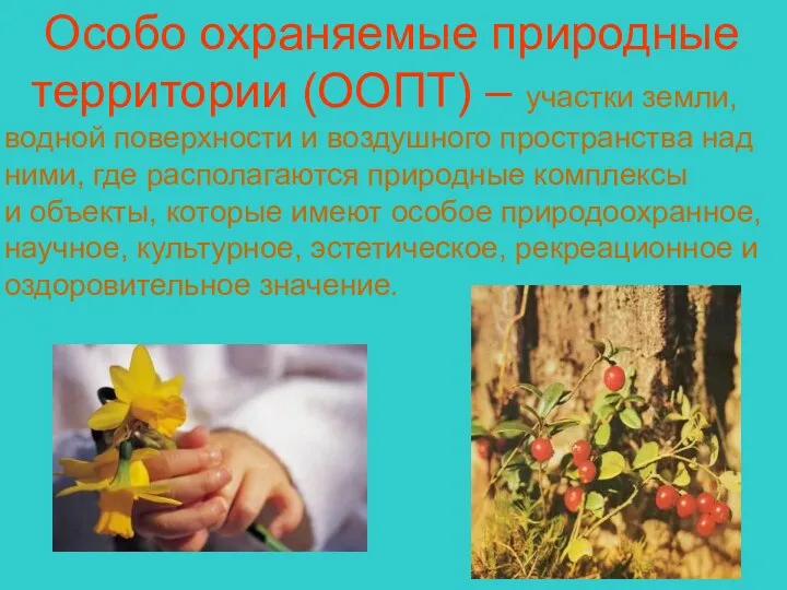 Особо охраняемые природные территории (ООПТ) – участки земли, водной поверхности и