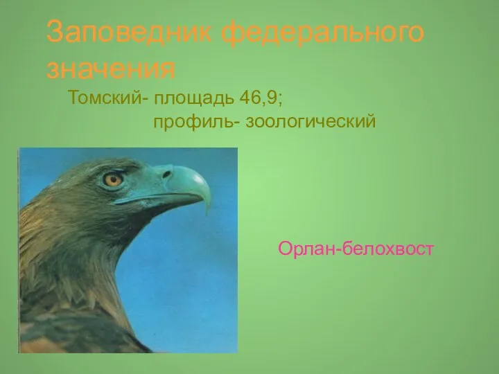 Заповедник федерального значения Томский- площадь 46,9; профиль- зоологический Орлан-белохвост