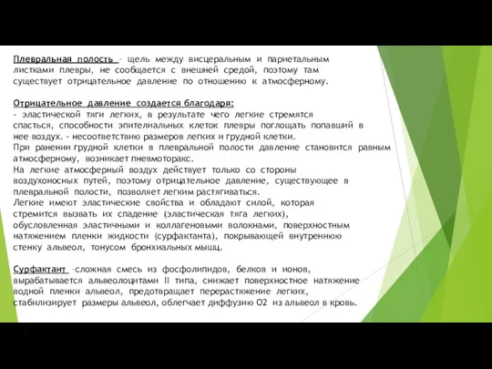 Плевральная полость – щель между висцеральным и париетальным листками плевры, не