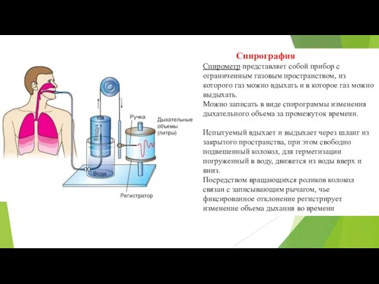 Спирография Спирометр представляет собой прибор с ограниченным газовым пространством, из которого