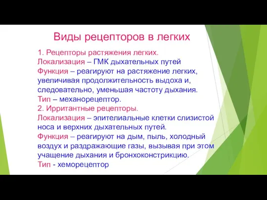 1. Рецепторы растяжения легких. Локализация – ГМК дыхательных путей Функция –