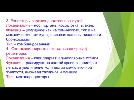 3. Рецепторы верхних дыхательных путей Локализация – нос, гортань, носоглотка, трахея.