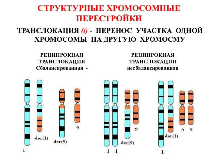 СТРУКТУРНЫЕ ХРОМОСОМНЫЕ ПЕРЕСТРОЙКИ ТРАНСЛОКАЦИЯ (t) - ПЕРЕНОС УЧАСТКА ОДНОЙ ХРОМОСОМЫ НА ДРУГУЮ ХРОМОСМУ