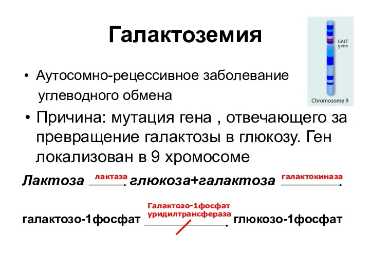 Галактоземия Аутосомно-рецессивное заболевание углеводного обмена Причина: мутация гена , отвечающего за