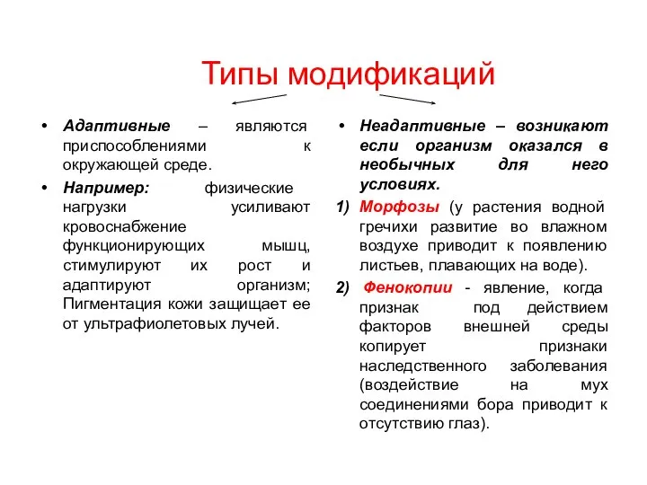 Типы модификаций Адаптивные – являются приспособлениями к окружающей среде. Например: физические