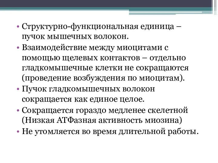 Структурно-функциональная единица – пучок мышечных волокон. Взаимодействие между миоцитами с помощью