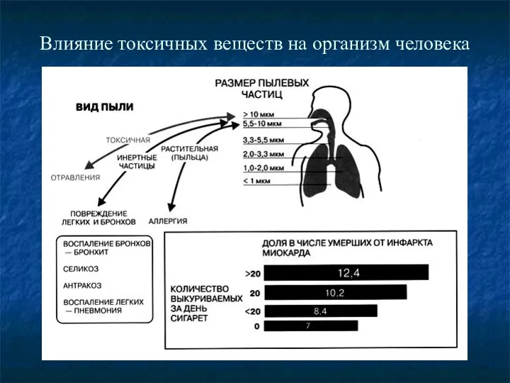 Влияние токсичных веществ на организм человека