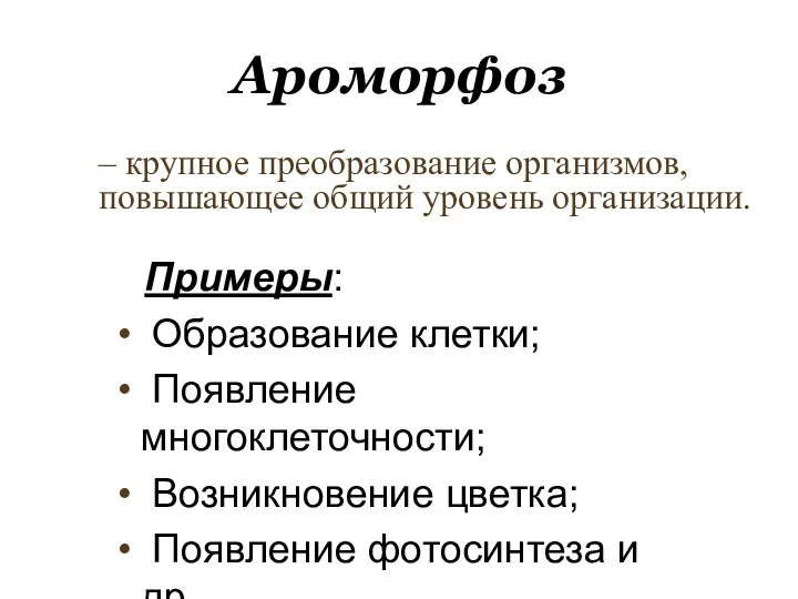 Ароморфоз Примеры: Образование клетки; Появление многоклеточности; Возникновение цветка; Появление фотосинтеза и