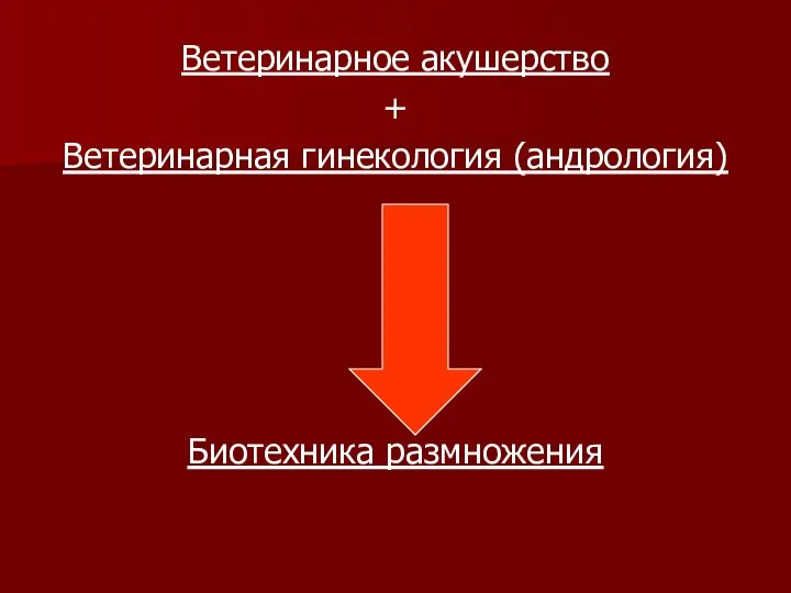 Ветеринарное акушерство + Ветеринарная гинекология (андрология) Биотехника размножения