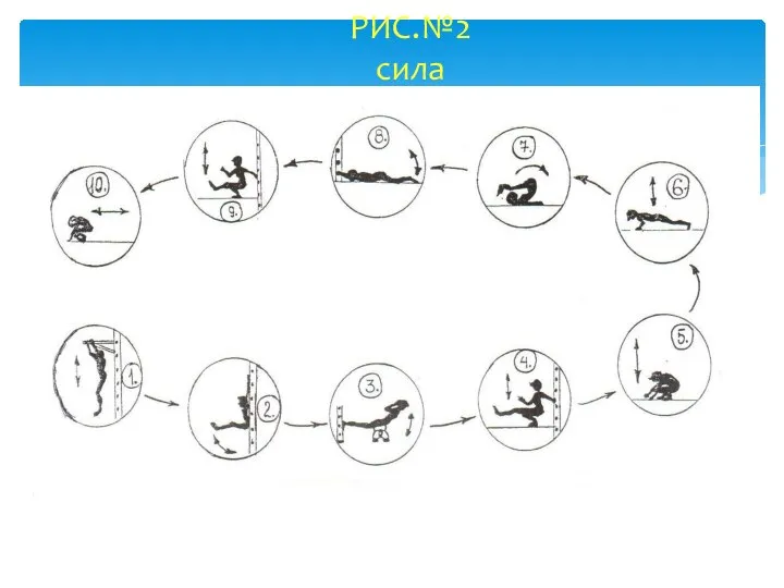 РИС.№2 сила