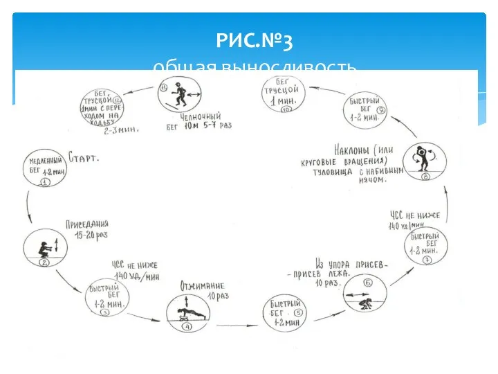 РИС.№3 общая выносливость