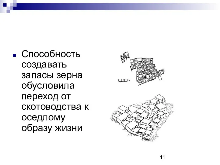 Способность создавать запасы зерна обусловила переход от скотоводства к оседлому образу жизни