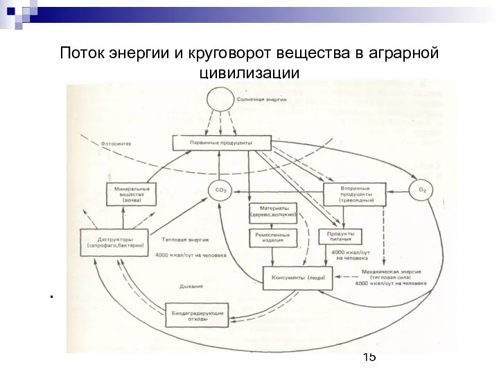 Поток энергии и круговорот вещества в аграрной цивилизации .