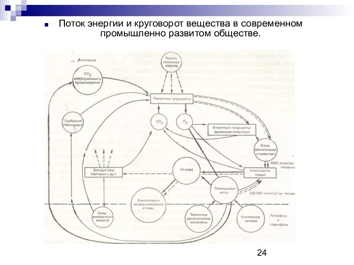 Поток энергии и круговорот вещества в современном промышленно развитом обществе.