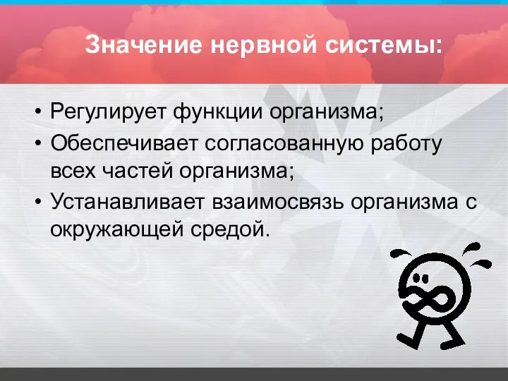 Значение нервной системы: Регулирует функции организма; Обеспечивает согласованную работу всех частей