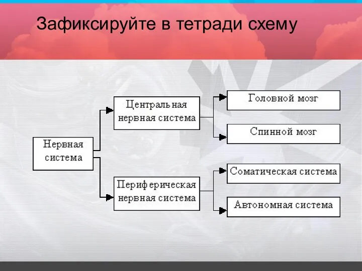 Зафиксируйте в тетради схему