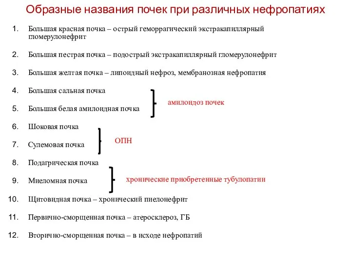 Образные названия почек при различных нефропатиях Большая красная почка – острый