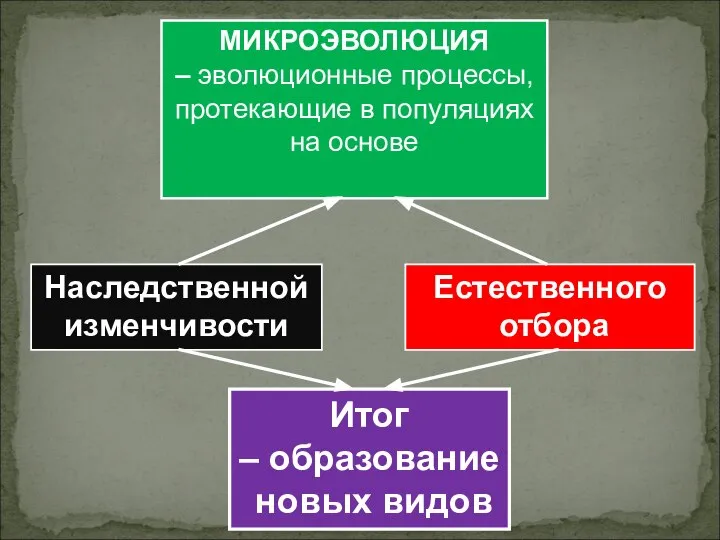 МИКРОЭВОЛЮЦИЯ – эволюционные процессы, протекающие в популяциях на основе Наследственной изменчивости