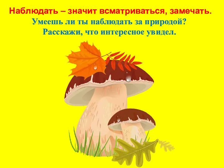 Наблюдать – значит всматриваться, замечать. Умеешь ли ты наблюдать за природой? Расскажи, что интересное увидел.