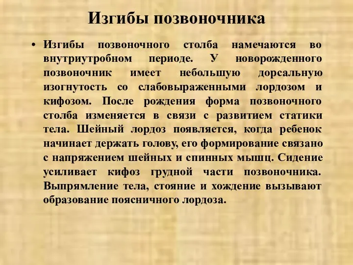 Изгибы позвоночника Изгибы позвоночного столба намечаются во внутриутробном периоде. У новорожденного