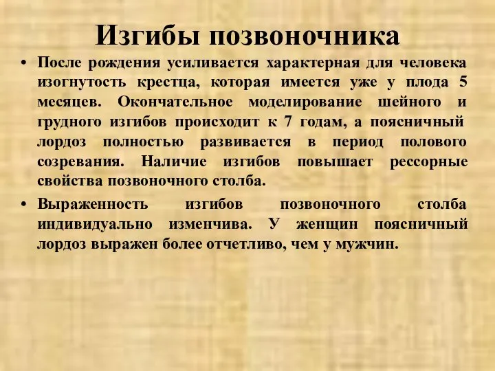 Изгибы позвоночника После рождения усиливается характерная для человека изогнутость крестца, которая