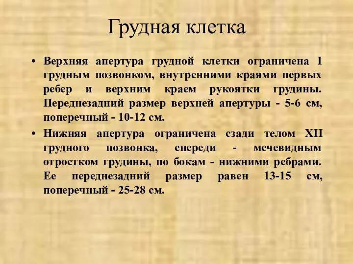 Грудная клетка Верхняя апертура грудной клетки ограничена I грудным позвонком, внутренними