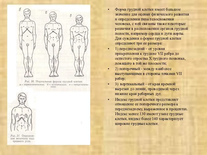 Форма грудной клетки имеет большое значение для оценки физического развития и