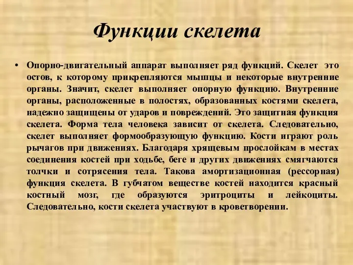 Функции скелета Опорно-двигательный аппарат выполняет ряд функций. Скелет это остов, к