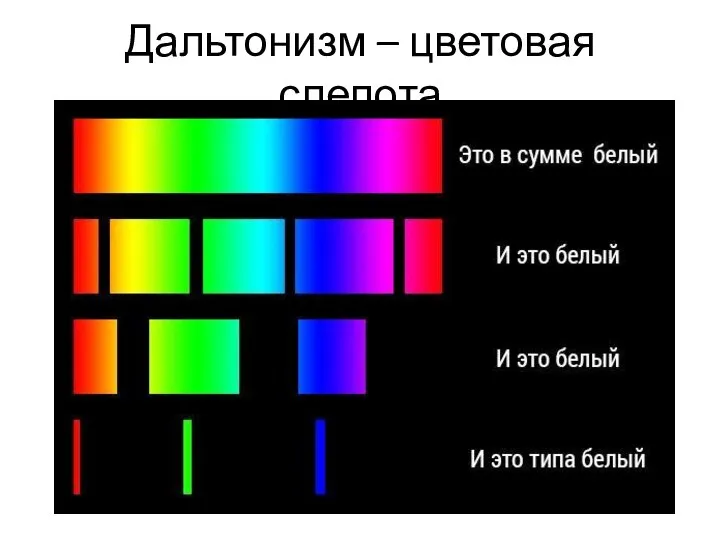 Дальтонизм – цветовая слепота