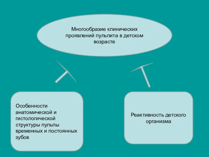 Многообразие клинических проявлений пульпита в детском возрасте Особенности анатомической и гистологической