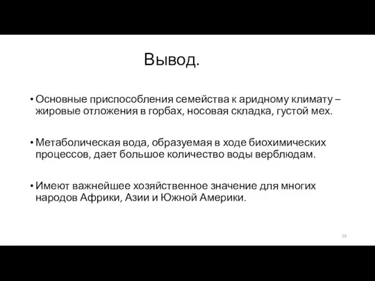 Вывод. Основные приспособления семейства к аридному климату – жировые отложения в