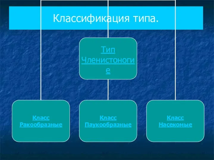 Классификация типа.