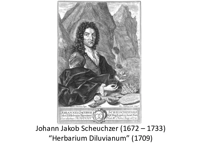 Johann Jakob Scheuchzer (1672 – 1733) “Herbarium Diluvianum” (1709)