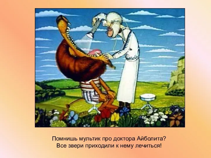 Помнишь мультик про доктора Айболита? Все звери приходили к нему лечиться!