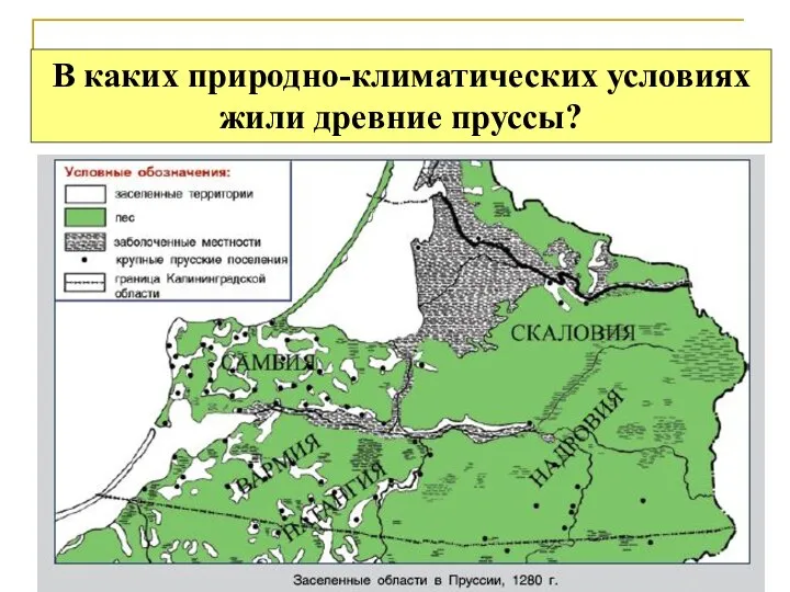 В каких природно-климатических условиях жили древние пруссы?