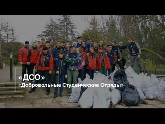 «ДСО» «Добровольные Студенческие Отряды»