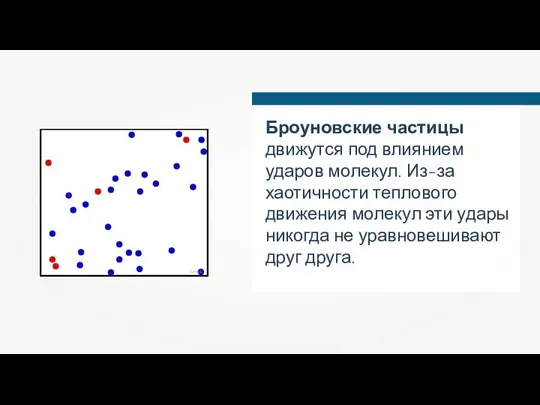 Броуновские частицы движутся под влиянием ударов молекул. Из-за хаотичности теплового движения