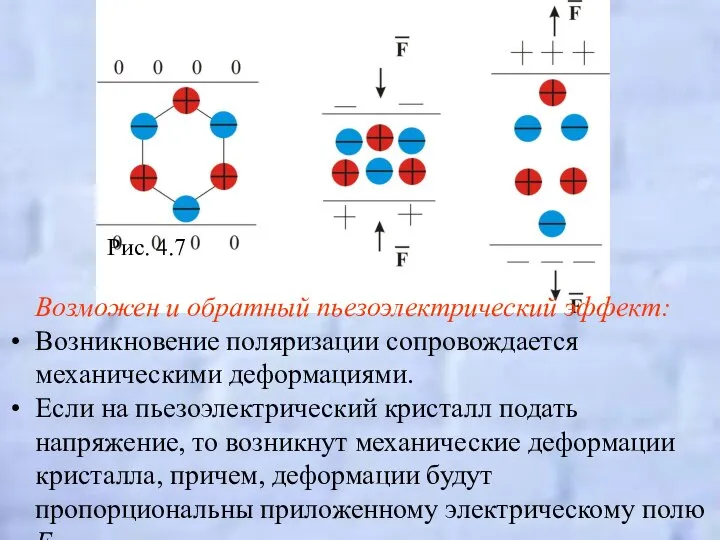 Рис. 4.7 Возможен и обратный пьезоэлектрический эффект: Возникновение поляризации сопровождается механическими