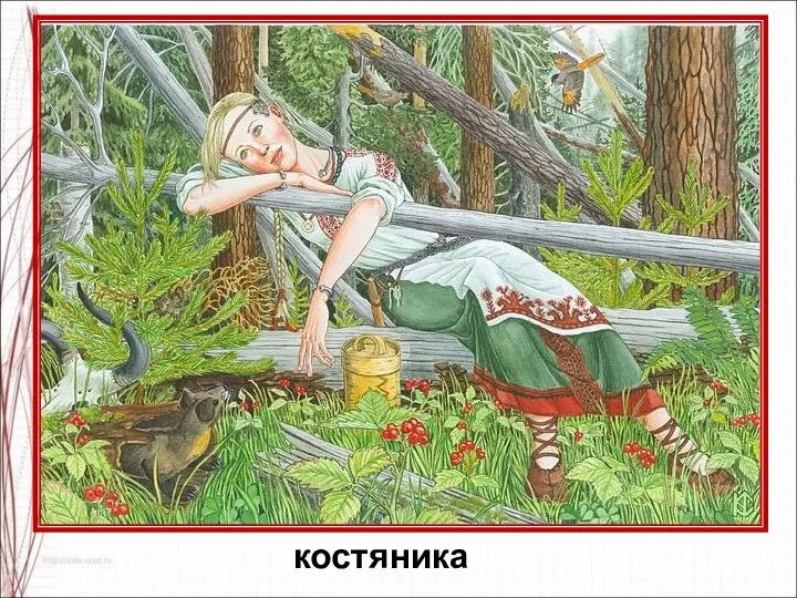 костяника