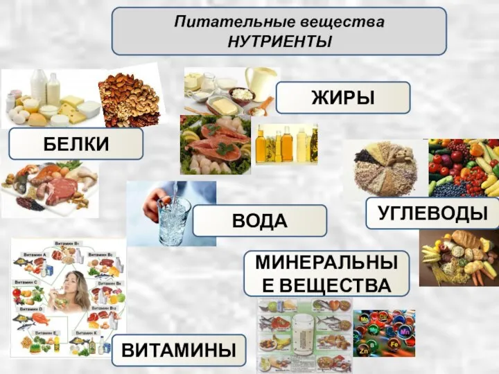 Питательные вещества НУТРИЕНТЫ МИНЕРАЛЬНЫЕ ВЕЩЕСТВА БЕЛКИ УГЛЕВОДЫ ВОДА ВИТАМИНЫ ЖИРЫ