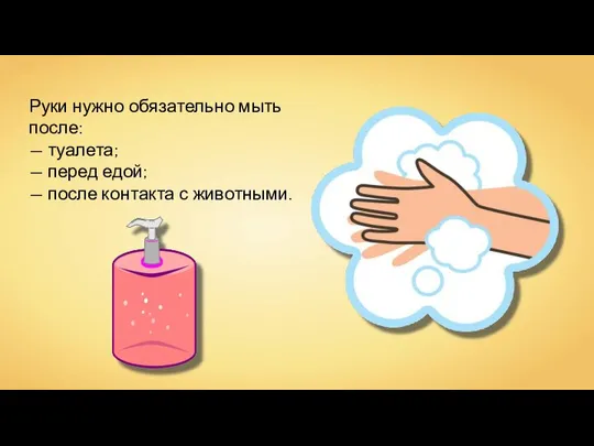 Руки нужно обязательно мыть после: — туалета; — перед едой; — после контакта с животными.