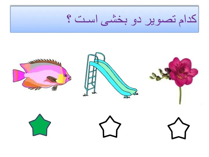 کدام تصویر دو بخشی اسـت ؟