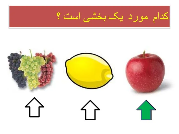 کدام مورد یک بخشی است ؟