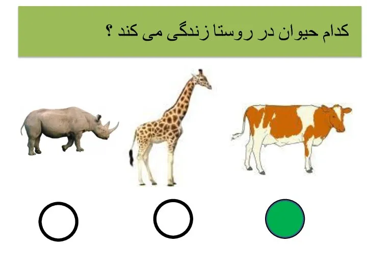 کدام حیوان در روستا زندگی می کند ؟