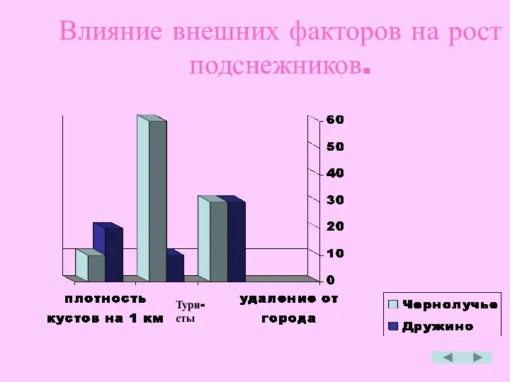 Влияние внешних факторов на рост подснежников. Тури- сты