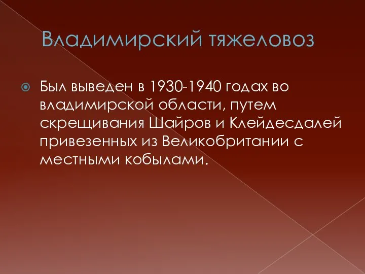 Владимирский тяжеловоз Был выведен в 1930-1940 годах во владимирской области, путем