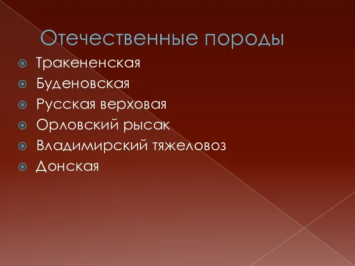 Отечественные породы Тракененская Буденовская Русская верховая Орловский рысак Владимирский тяжеловоз Донская