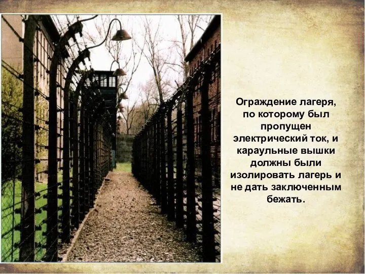 Ограждение лагеря, по которому был пропущен электрический ток, и караульные вышки