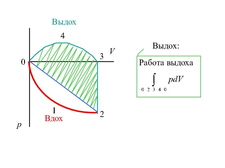 V р Вдох Выдох Работа выдоха Выдох: