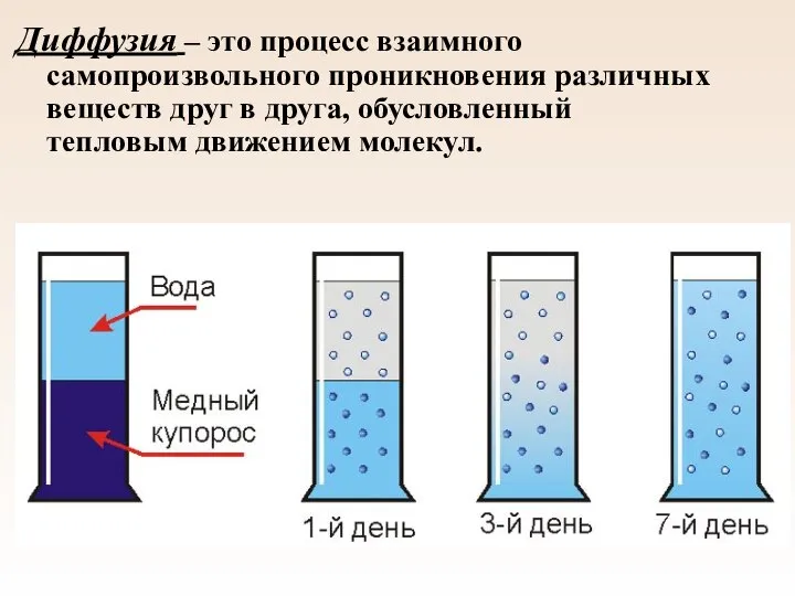 Диффузия – это процесс взаимного самопроизвольного проникновения различных веществ друг в друга, обусловленный тепловым движением молекул.